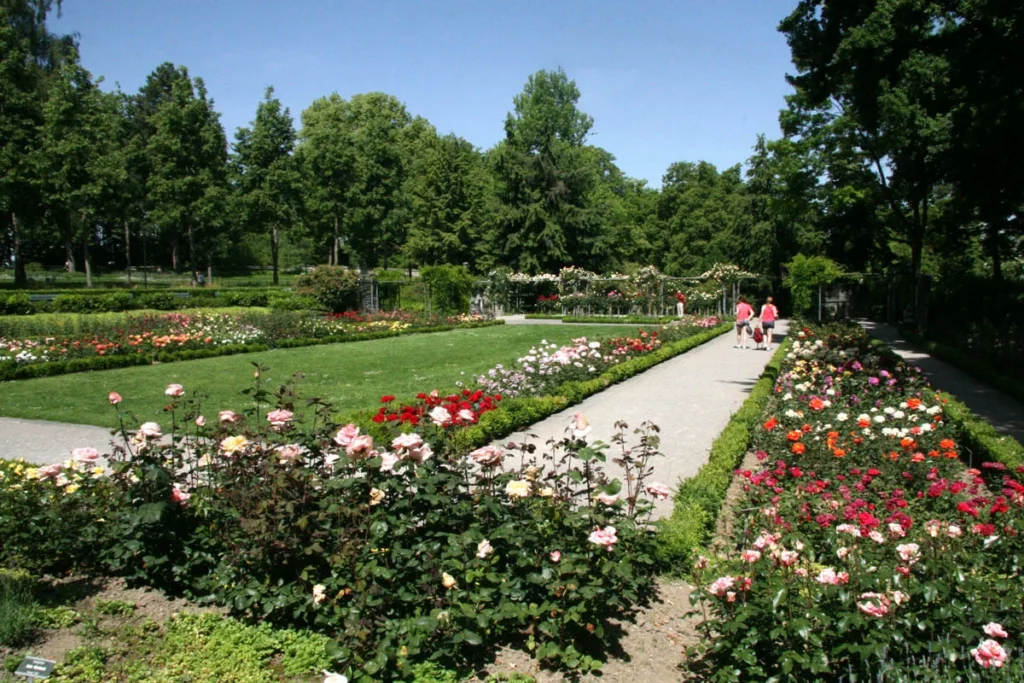 Rosengarten garden for meeting Bern women